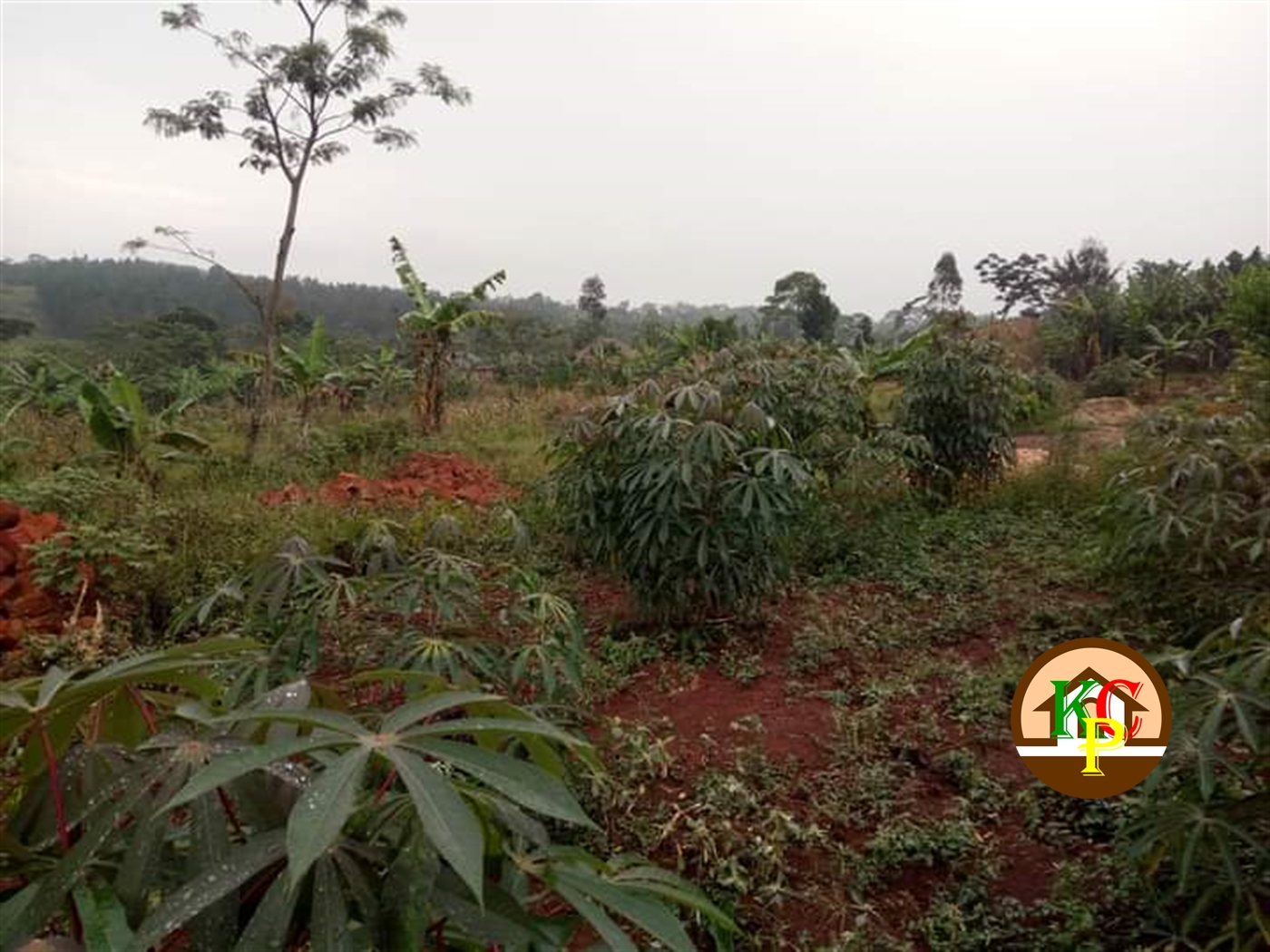 Residential Land for sale in Nakisunga Mukono