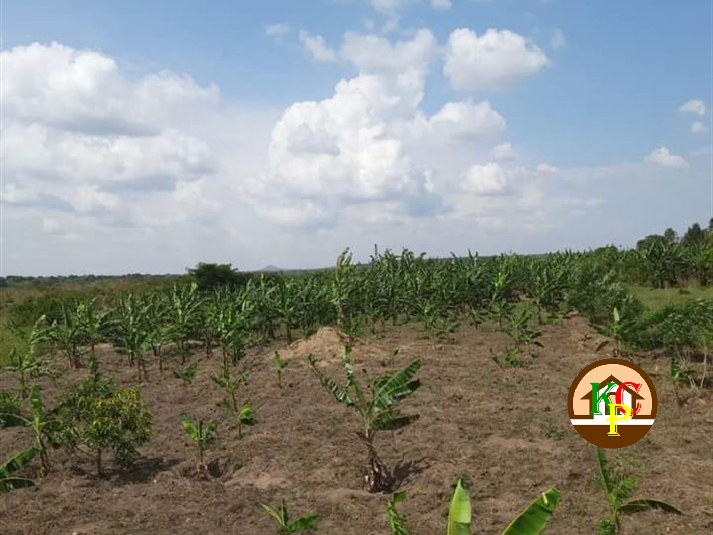 Residential Land for sale in Ziloobwe Luweero