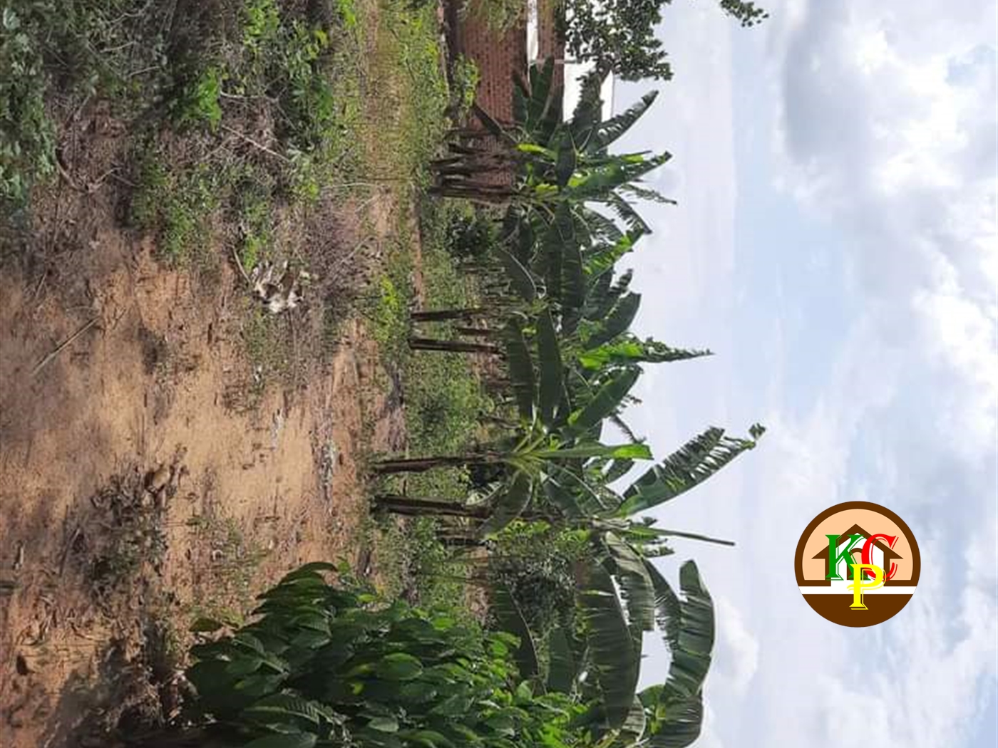 Residential Land for sale in Ziloobwe Luweero