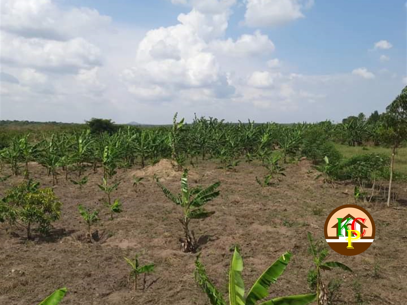 Residential Land for sale in Ziloobwe Luweero