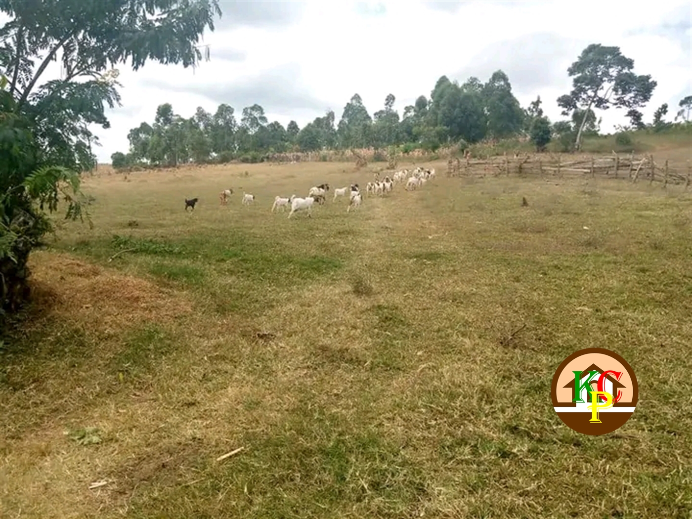 Commercial Land for sale in Namatebe Mukono