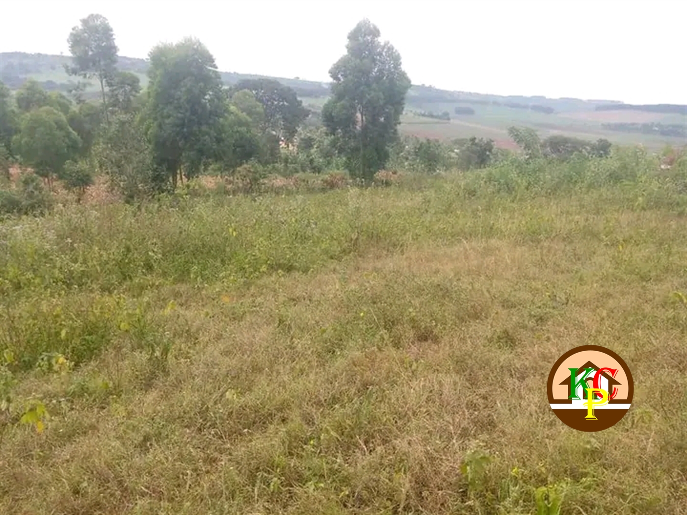 Commercial Land for sale in Namatebe Mukono