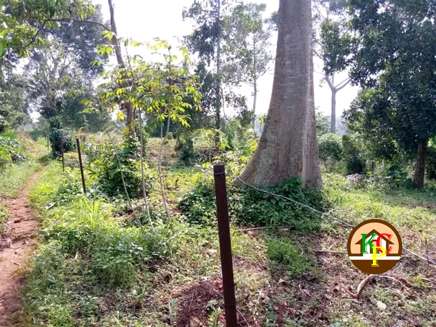 Residential Land for sale in Kabembe Mukono