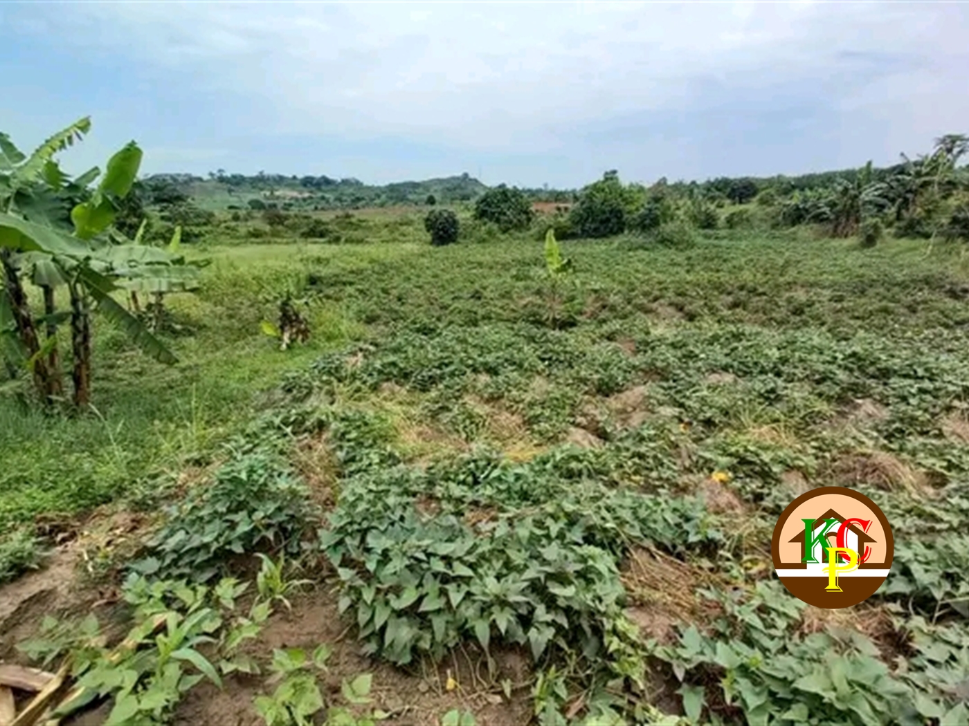 Residential Land for sale in Nakifuma Mukono