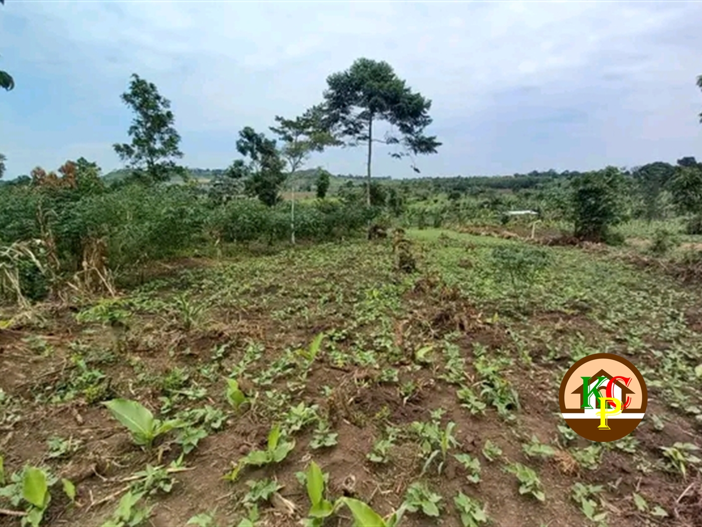 Residential Land for sale in Nakifuma Mukono