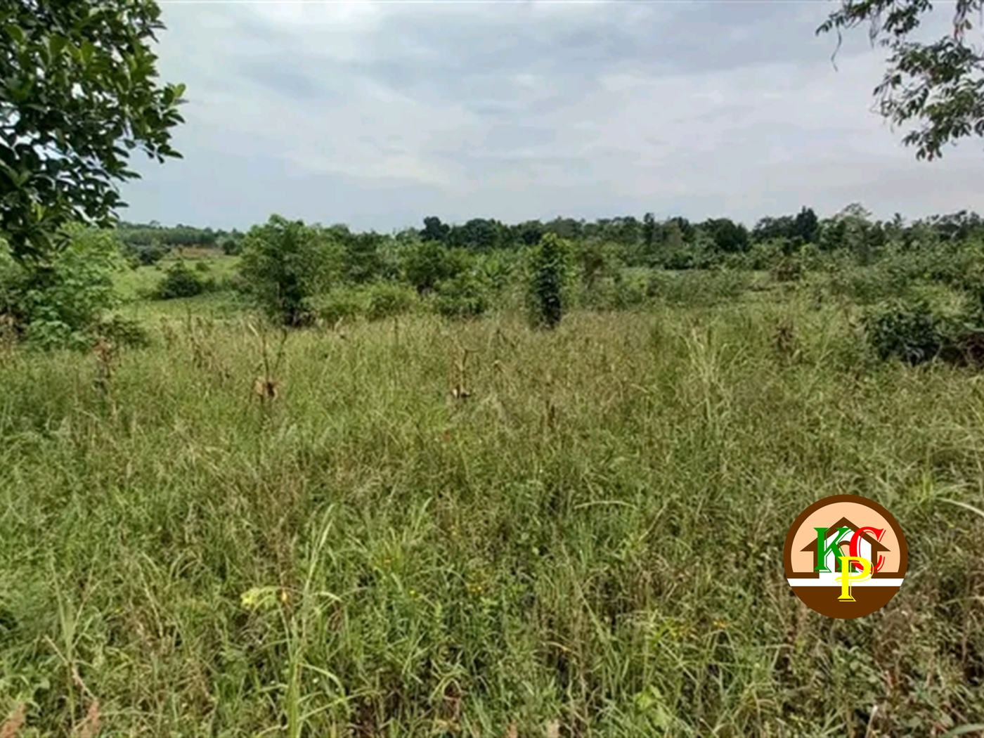 Residential Land for sale in Nakifuma Mukono