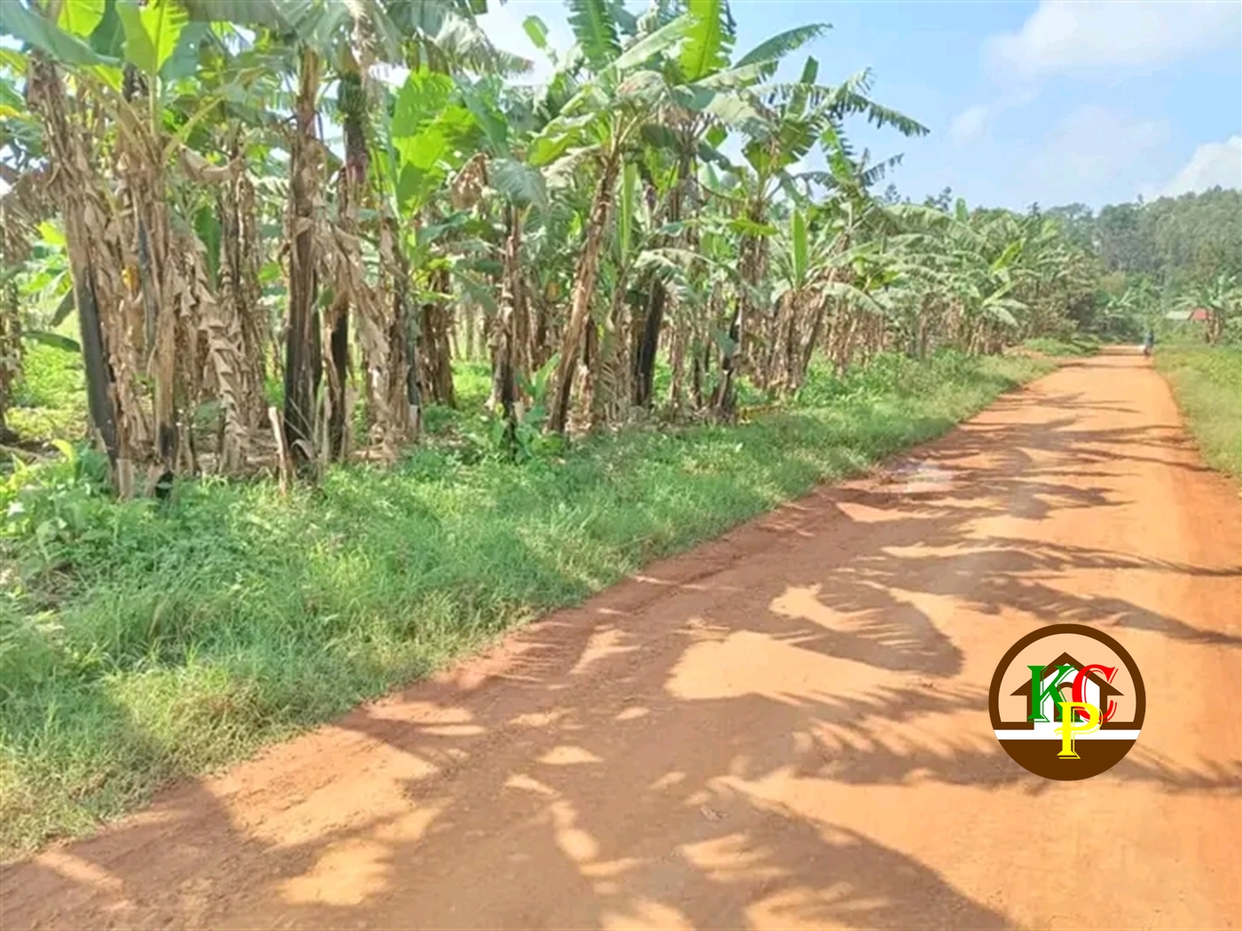 Residential Land for sale in Nakisunga Mukono