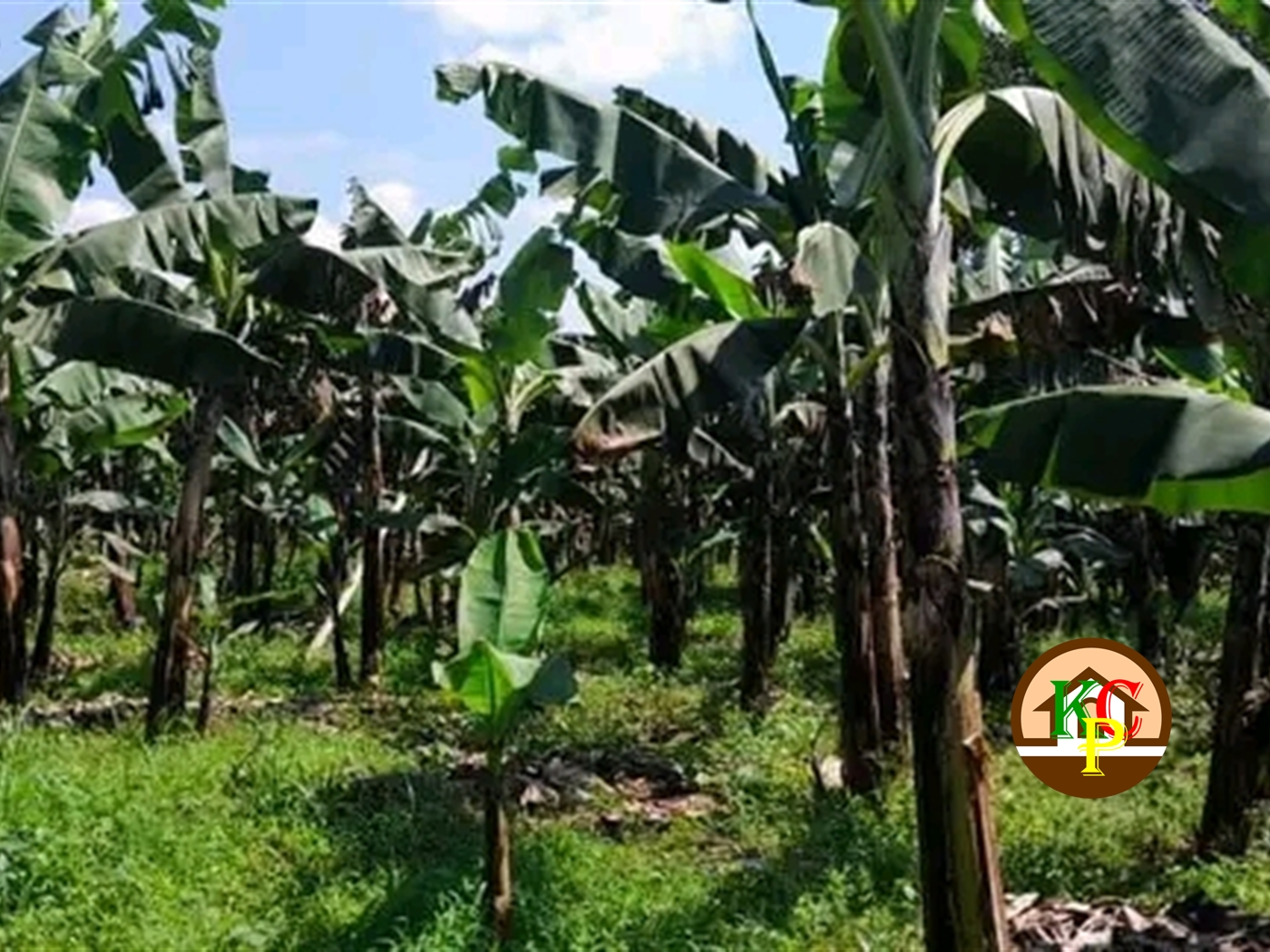 Residential Land for sale in Wakisocentre Wakiso
