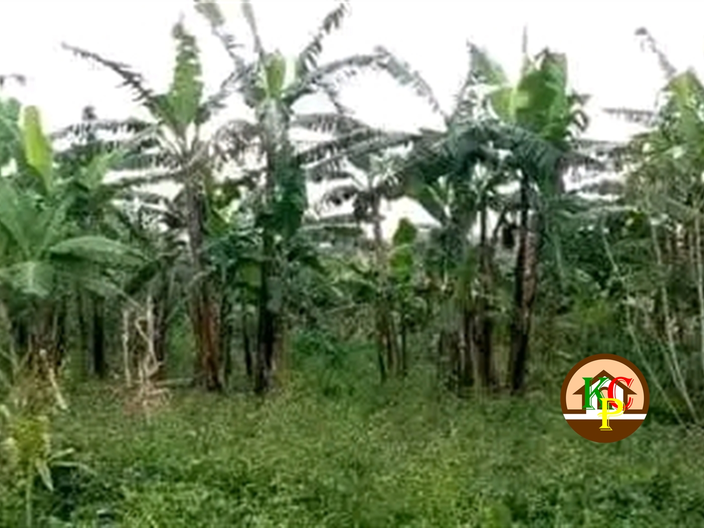 Residential Land for sale in Matugga Wakiso