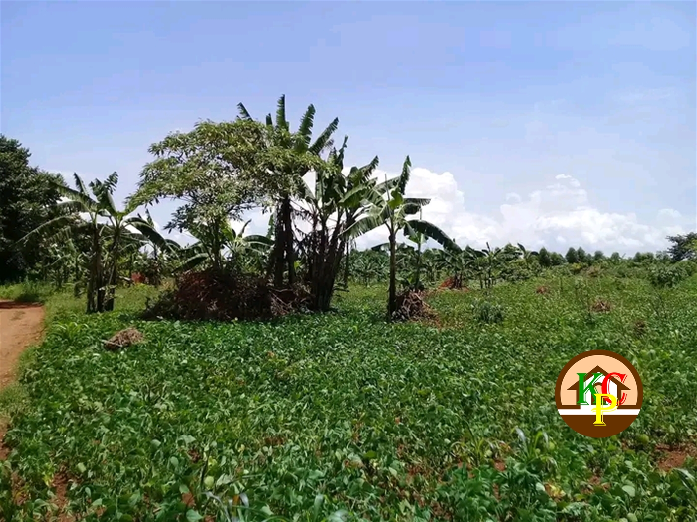 Residential Land for sale in Ziloobwe Luweero