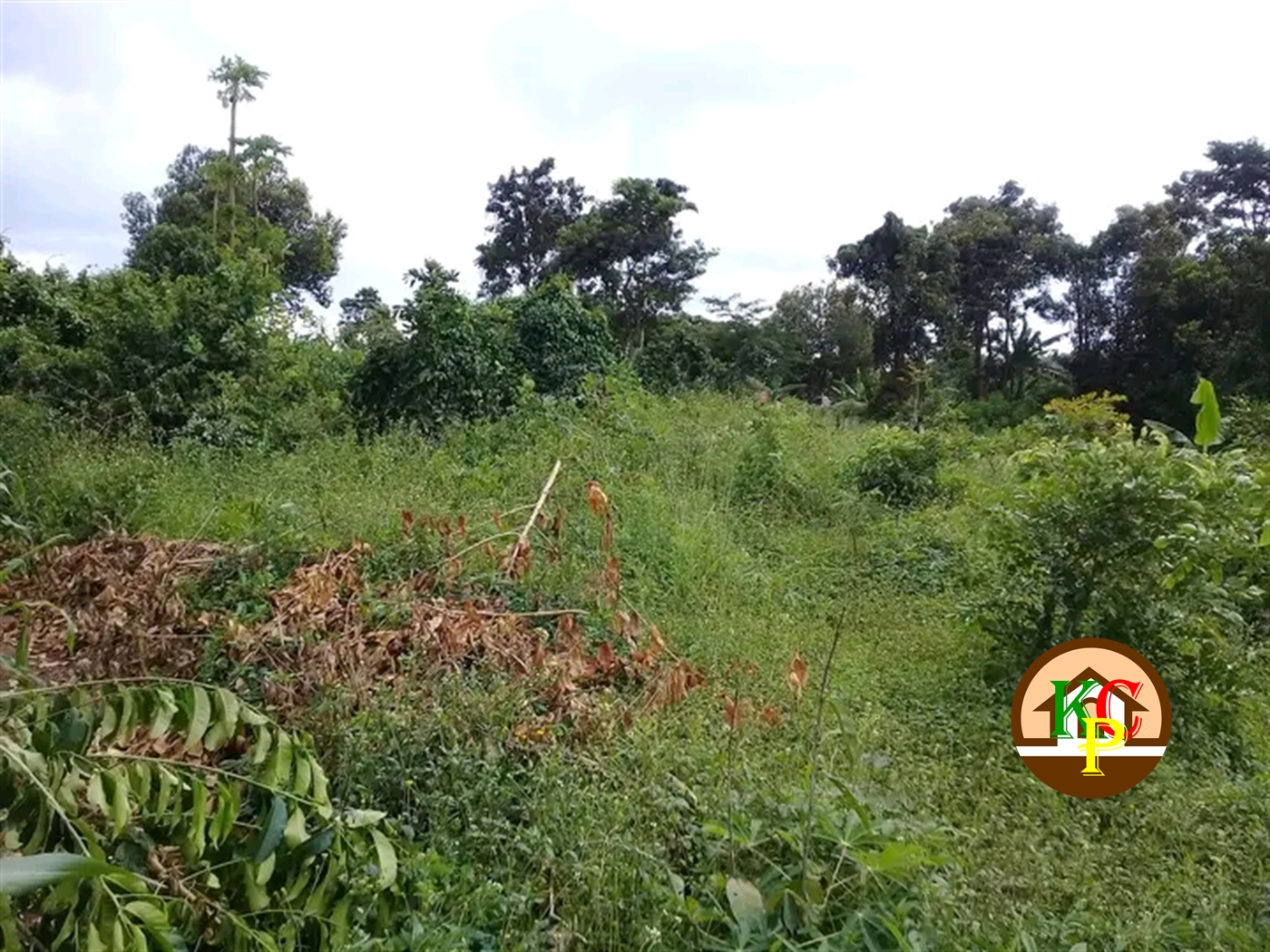 Residential Land for sale in Ziloobwe Luweero