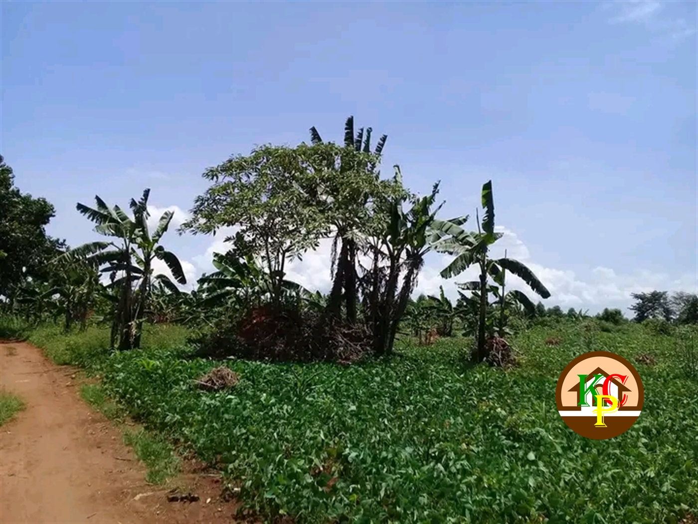 Residential Land for sale in Ziloobwe Luweero