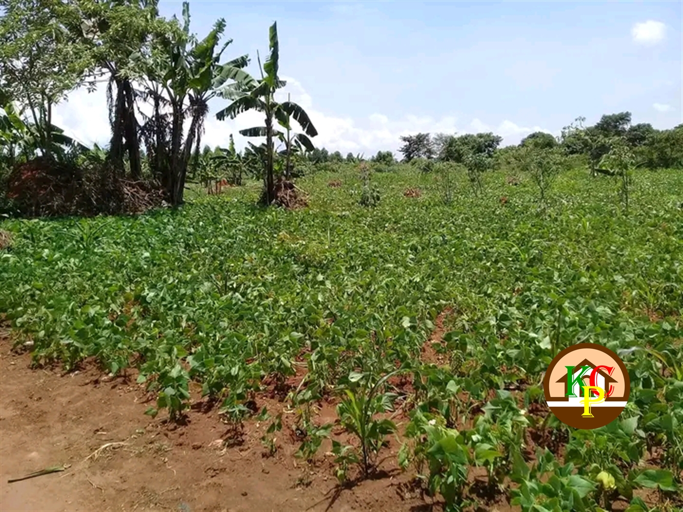 Residential Land for sale in Ziloobwe Luweero