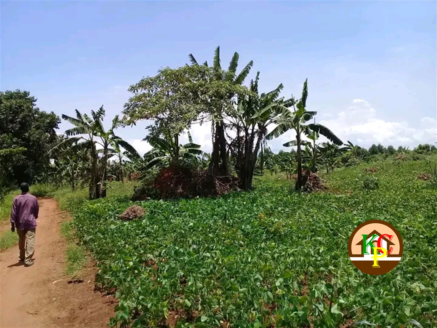 Residential Land for sale in Ziloobwe Luweero