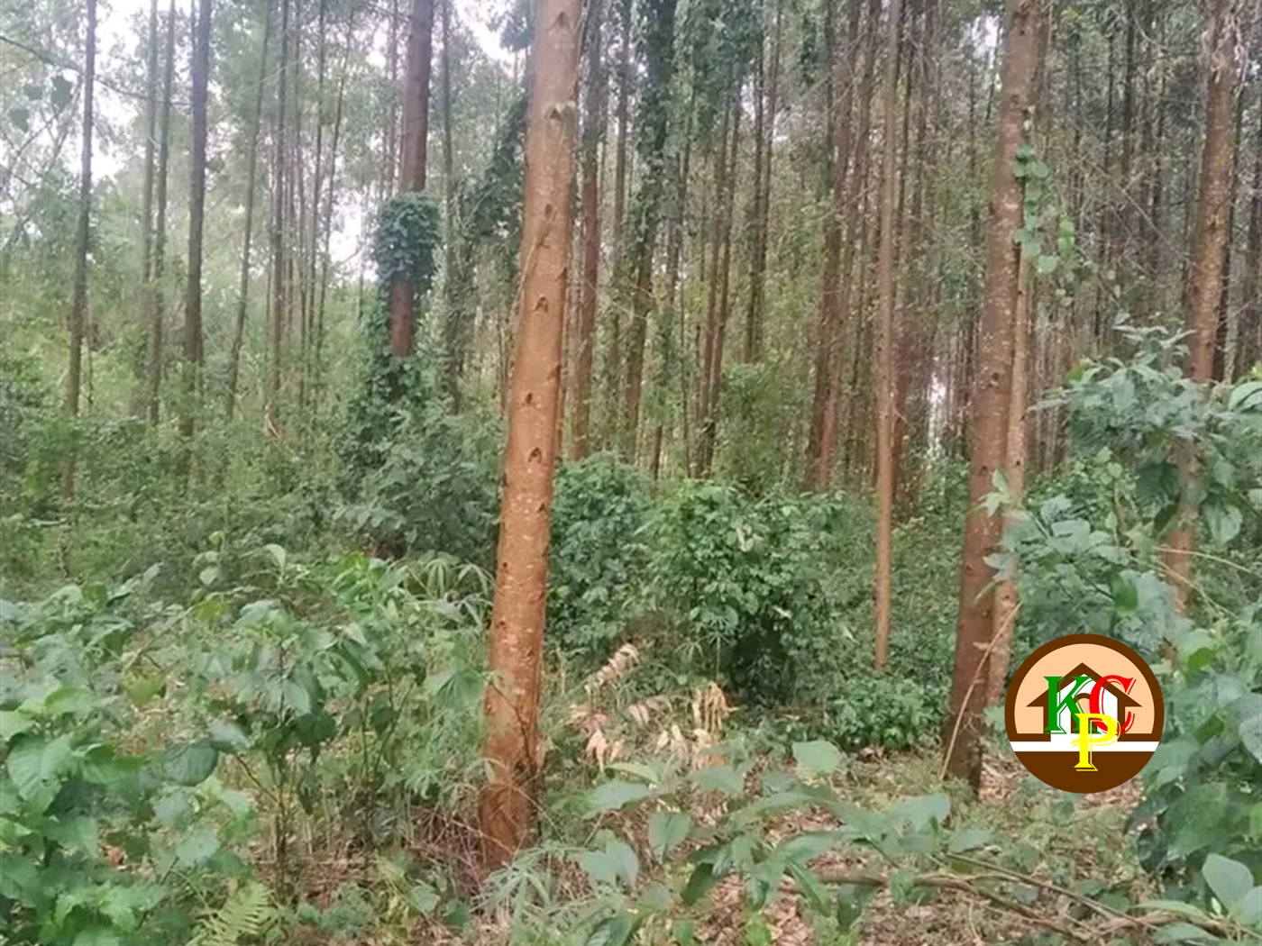 Residential Land for sale in Ndejje Luweero