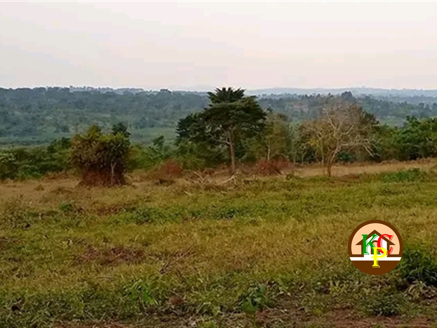 Residential Land for sale in Busunjju Mityana