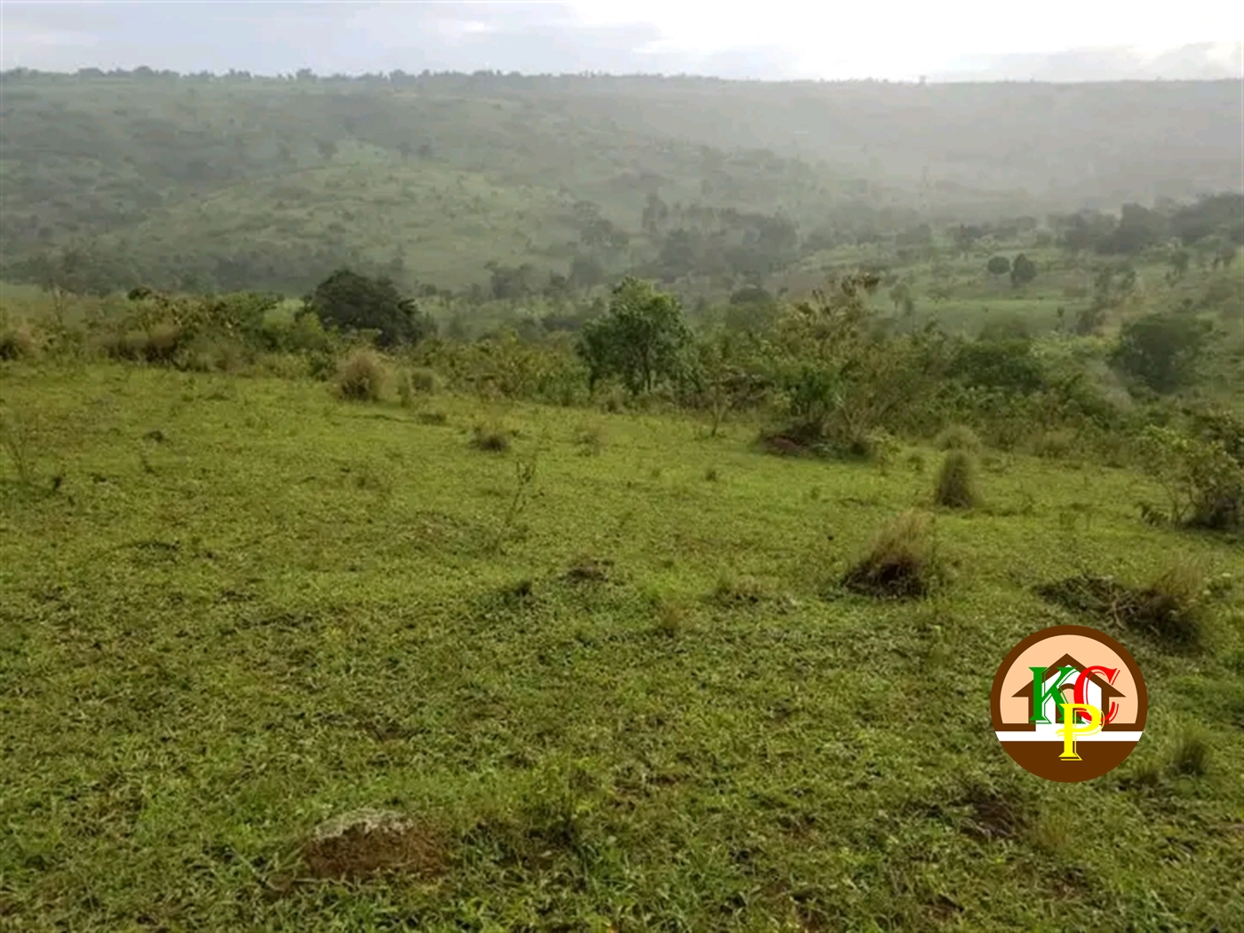 Residential Land for sale in Madudu Mubende