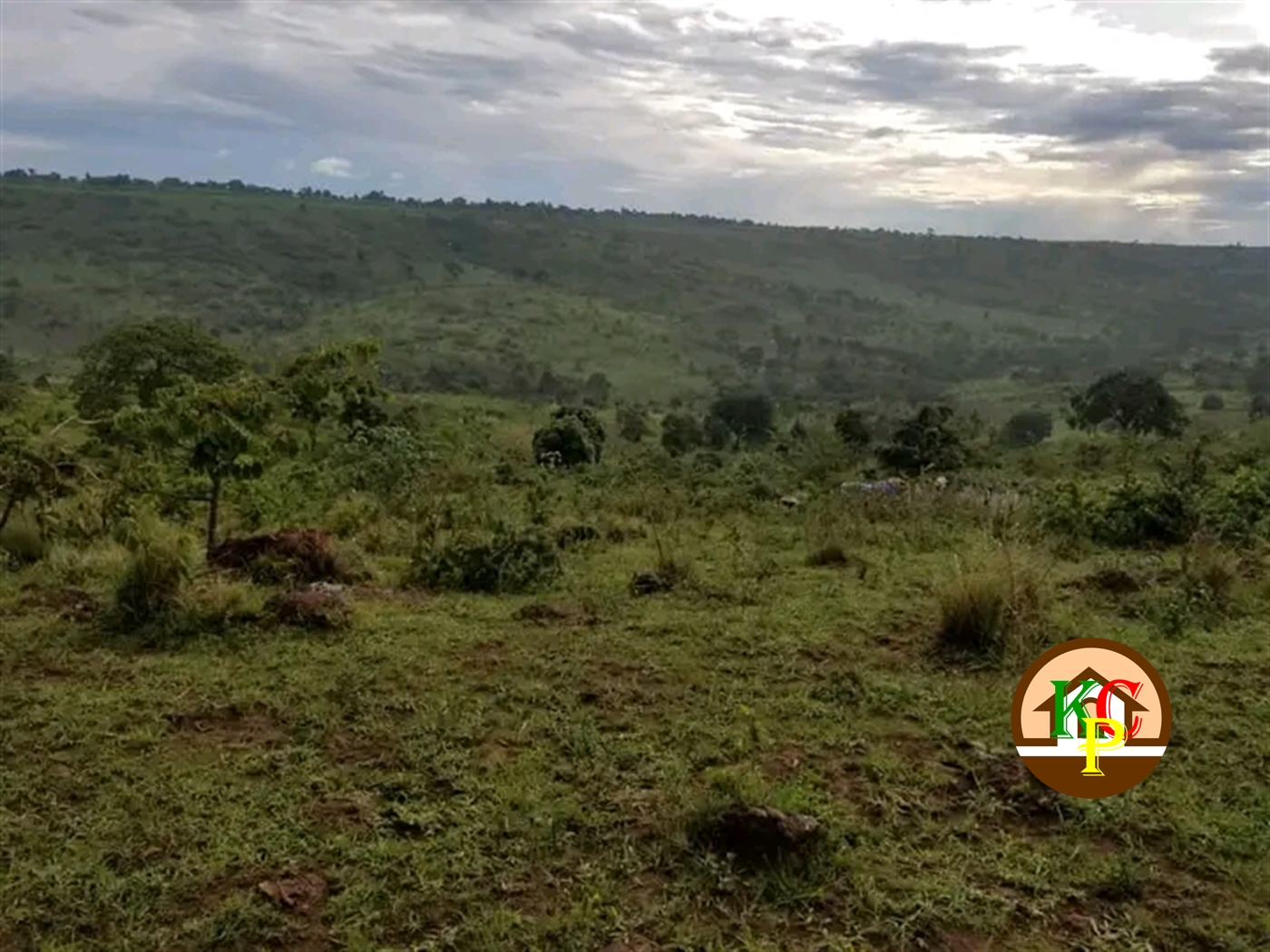 Residential Land for sale in Madudu Mubende