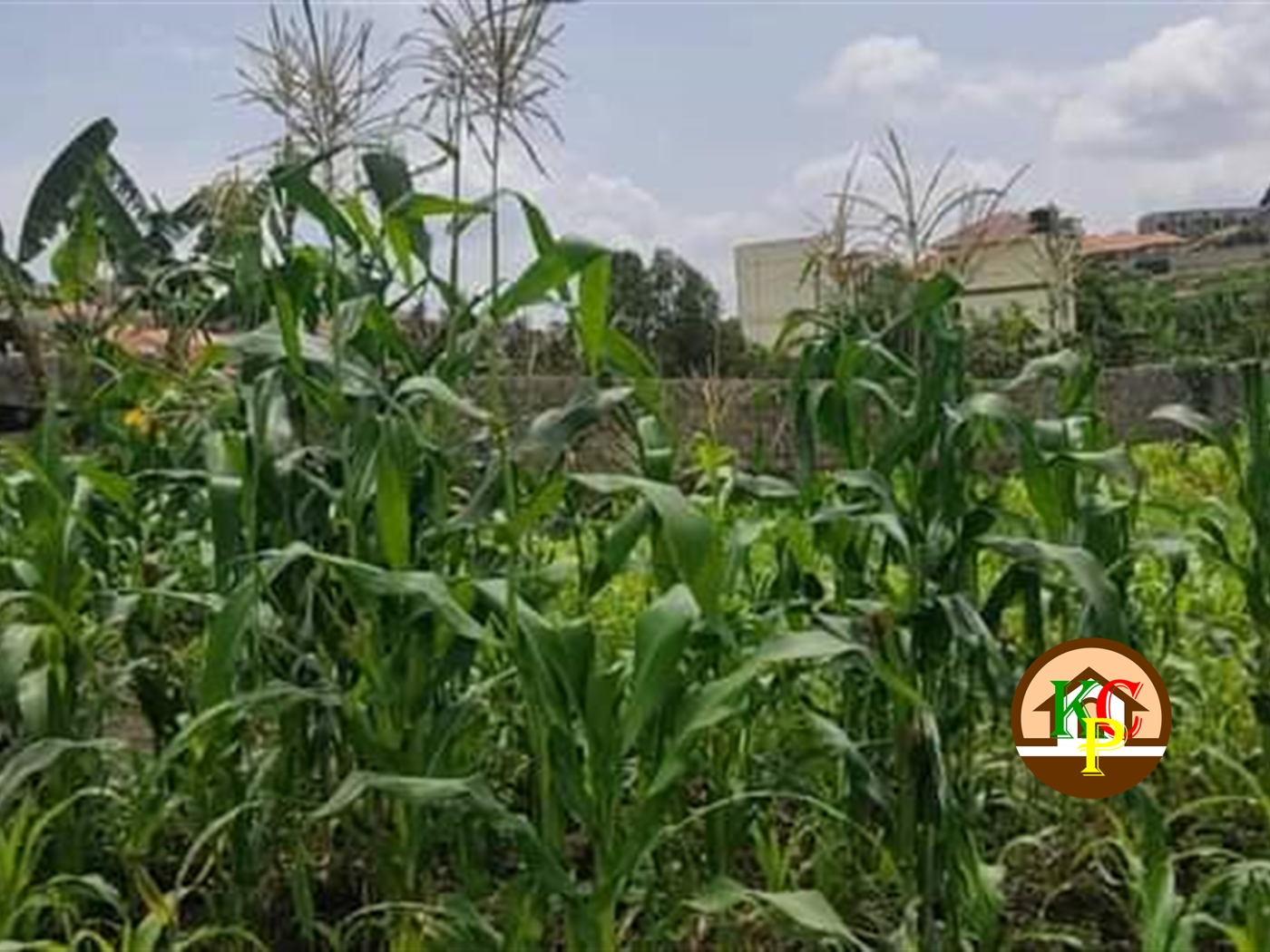 Residential Land for sale in Kira Wakiso