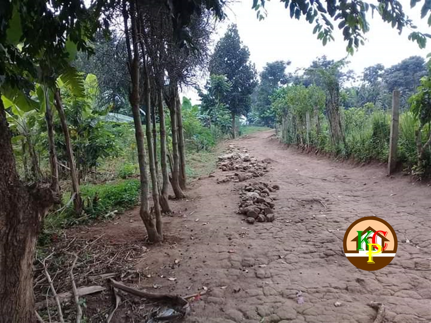 Residential Land for sale in Mpereerwe Kampala