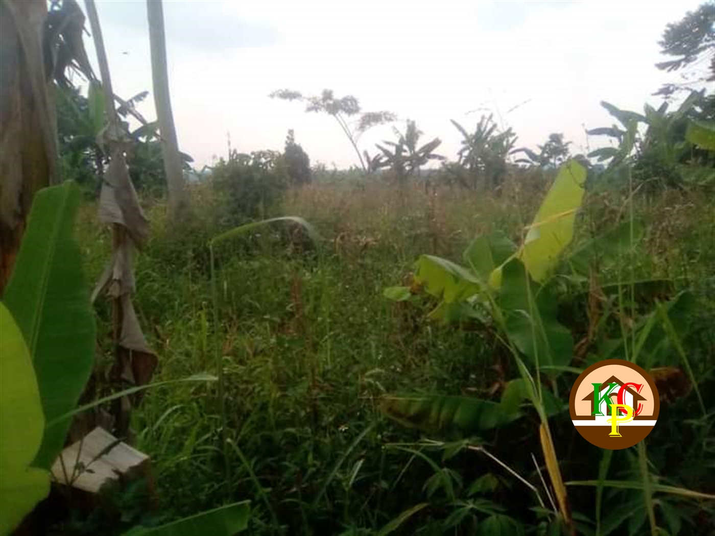 Residential Land for sale in Nakifuma Mukono