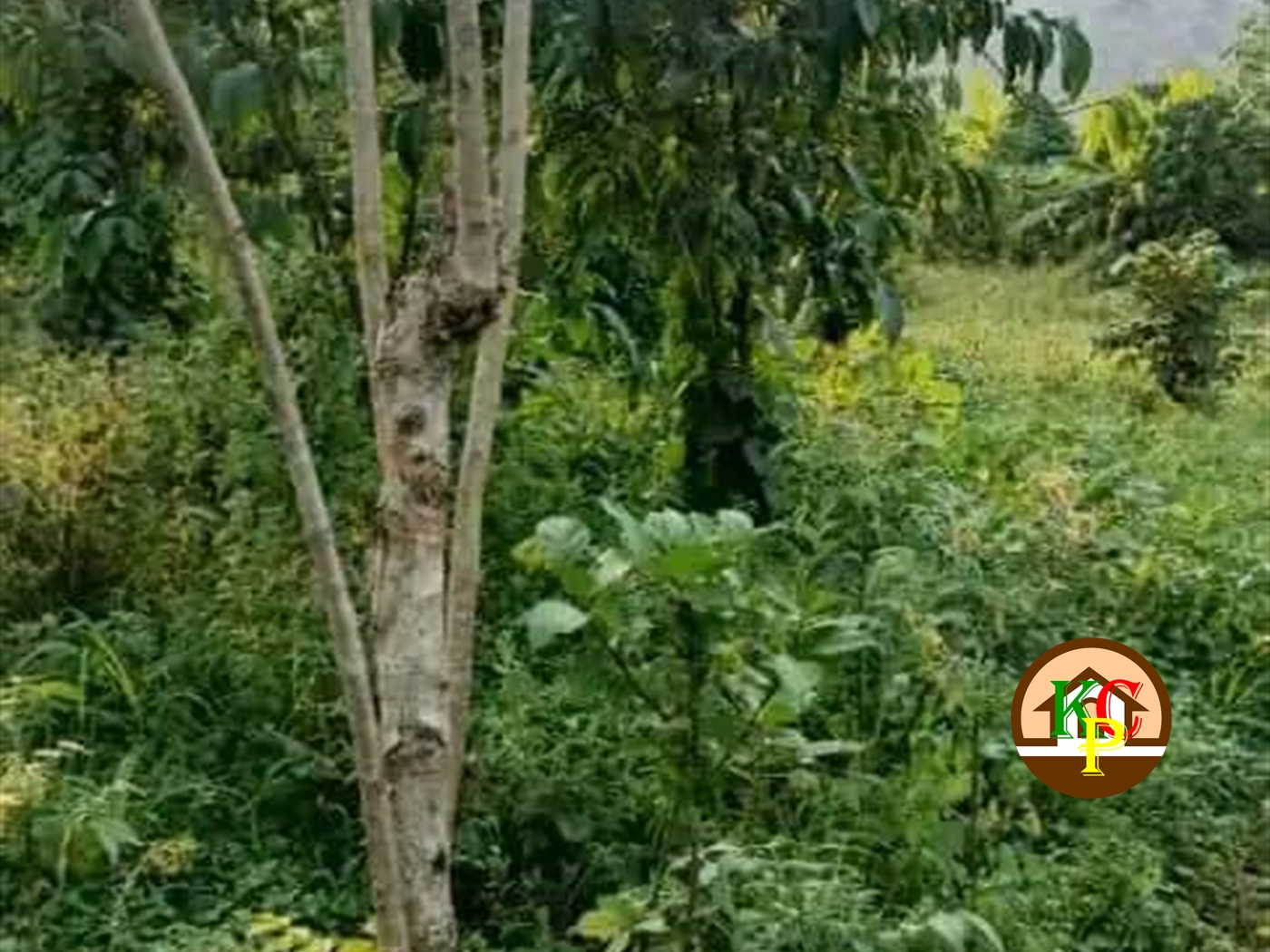 Residential Land for sale in Nakisunga Wakiso