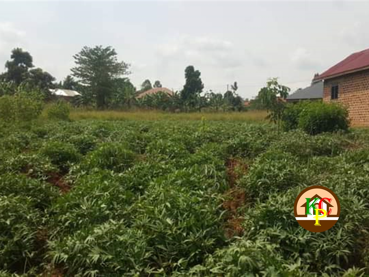 Residential Land for sale in Bukeelele Mukono