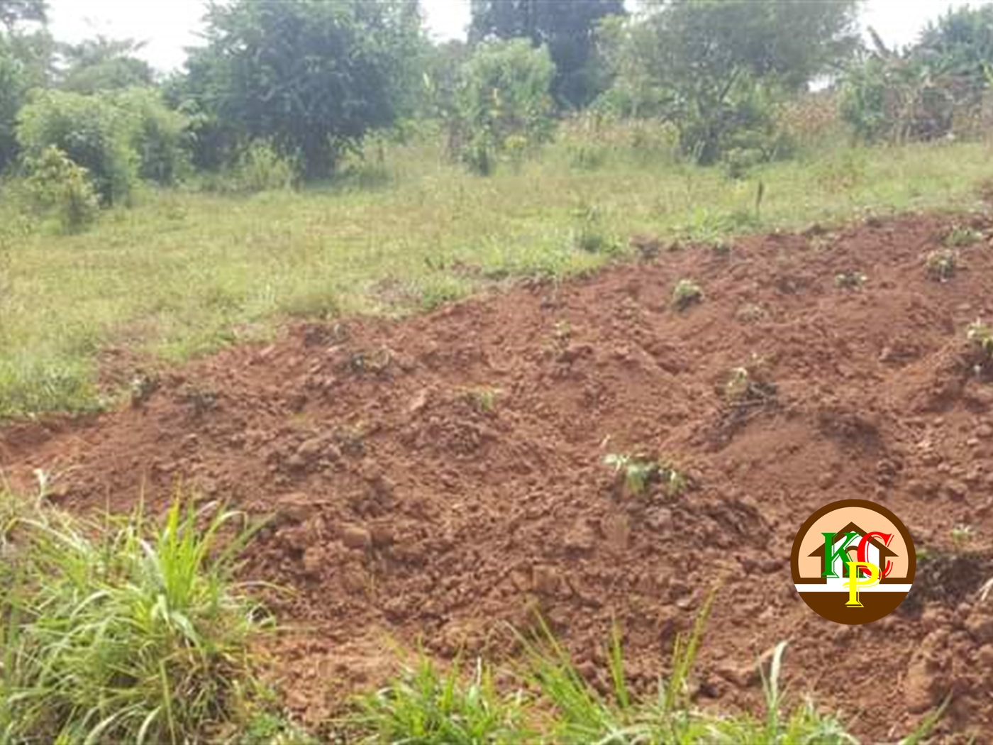 Residential Land for sale in Bukeelele Mukono