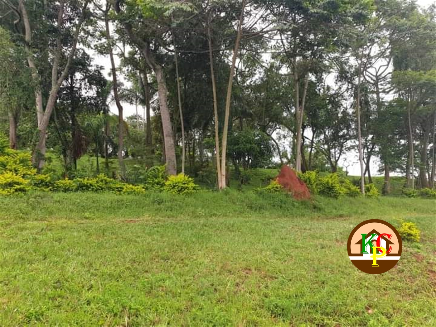 Residential Land for sale in Nkokonjeru Mukono