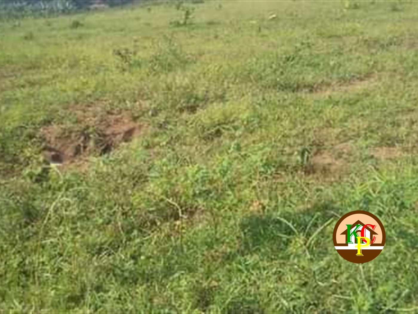 Residential Land for sale in Gayaza Wakiso