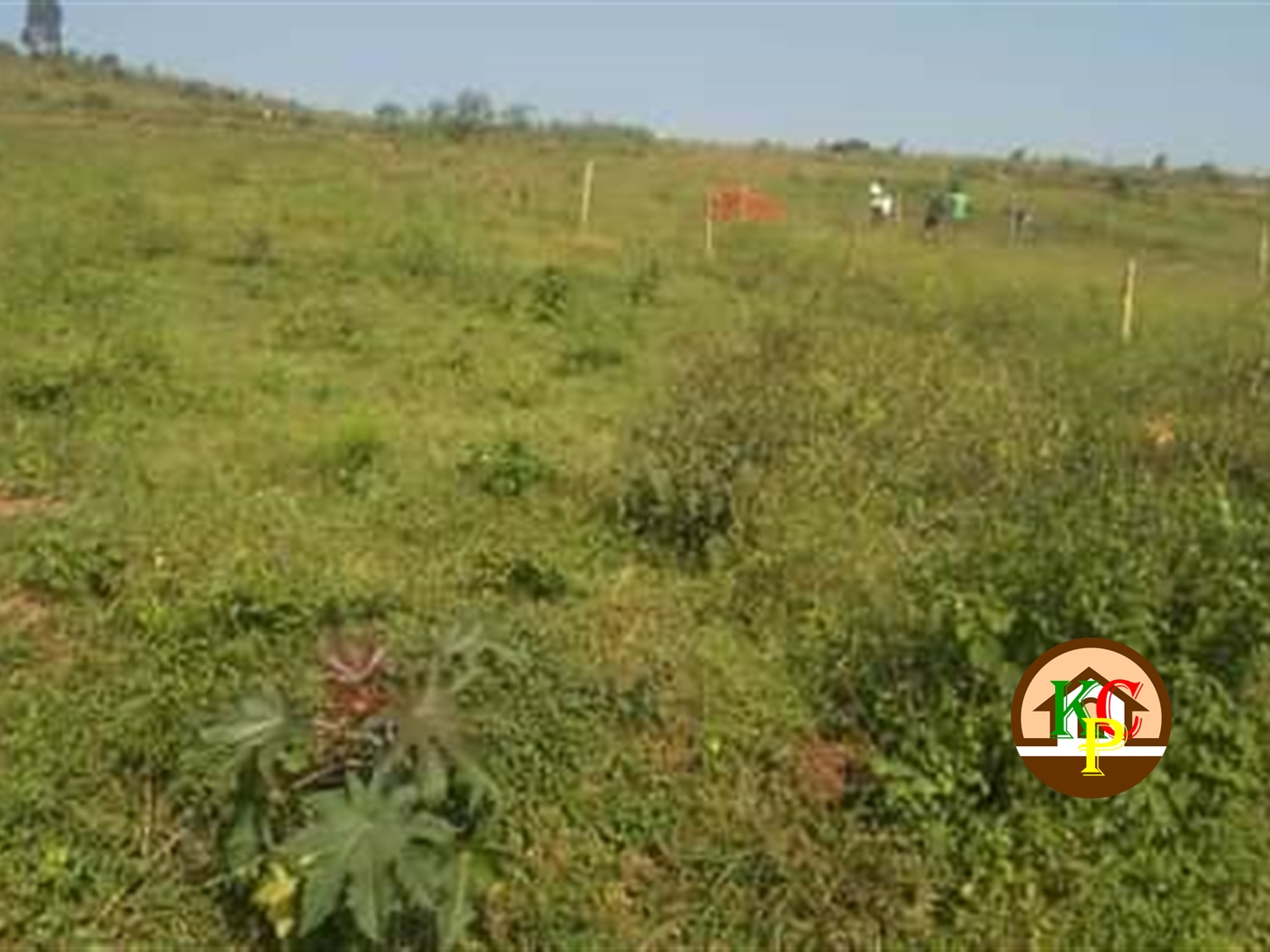 Residential Land for sale in Gayaza Wakiso