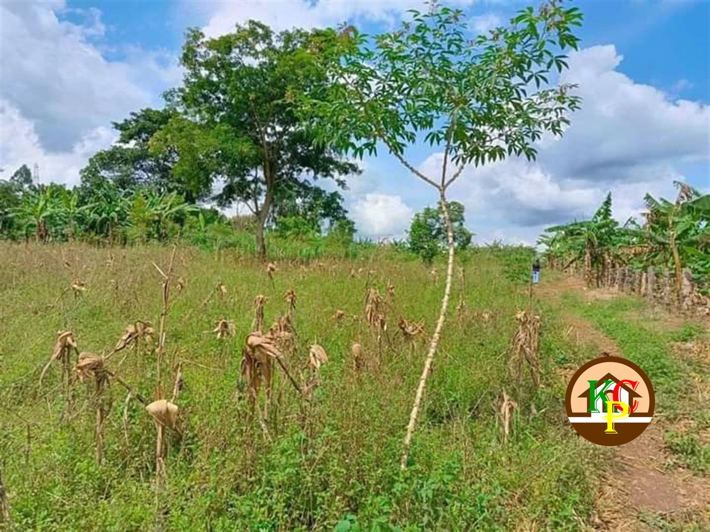 Residential Land for sale in Mpoma Mukono