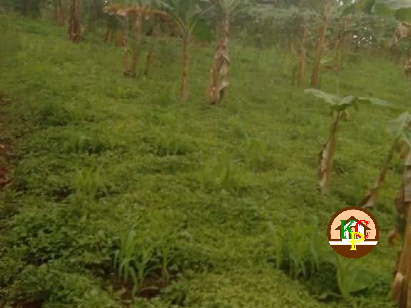 Residential Land for sale in Maddu Gomba