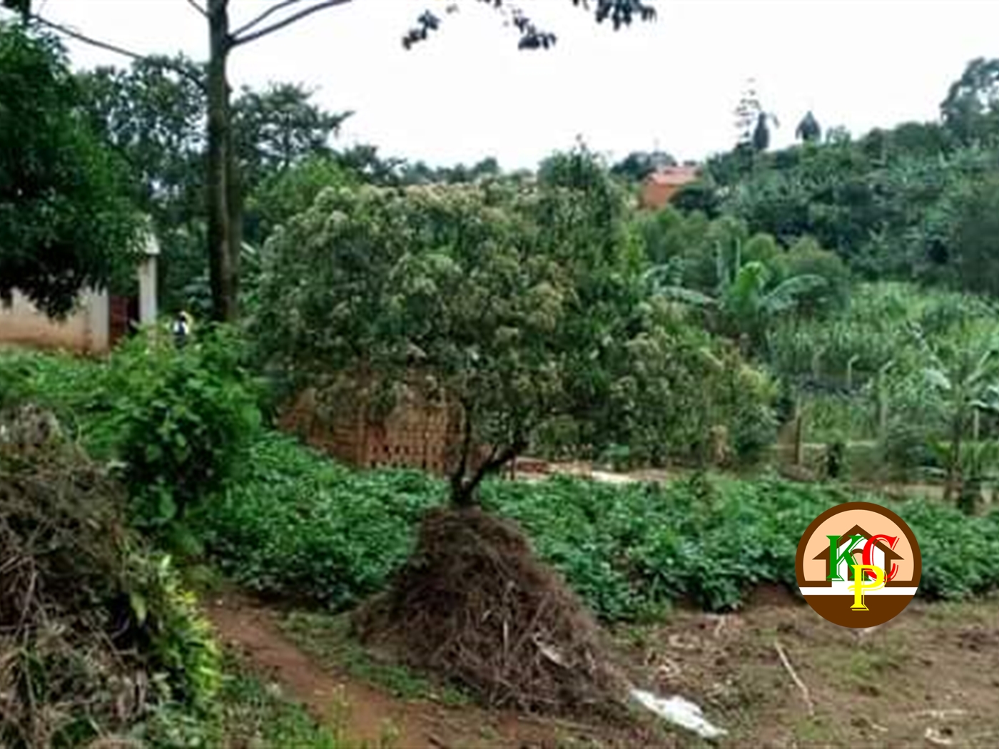 Residential Land for sale in Mukonot Mukono