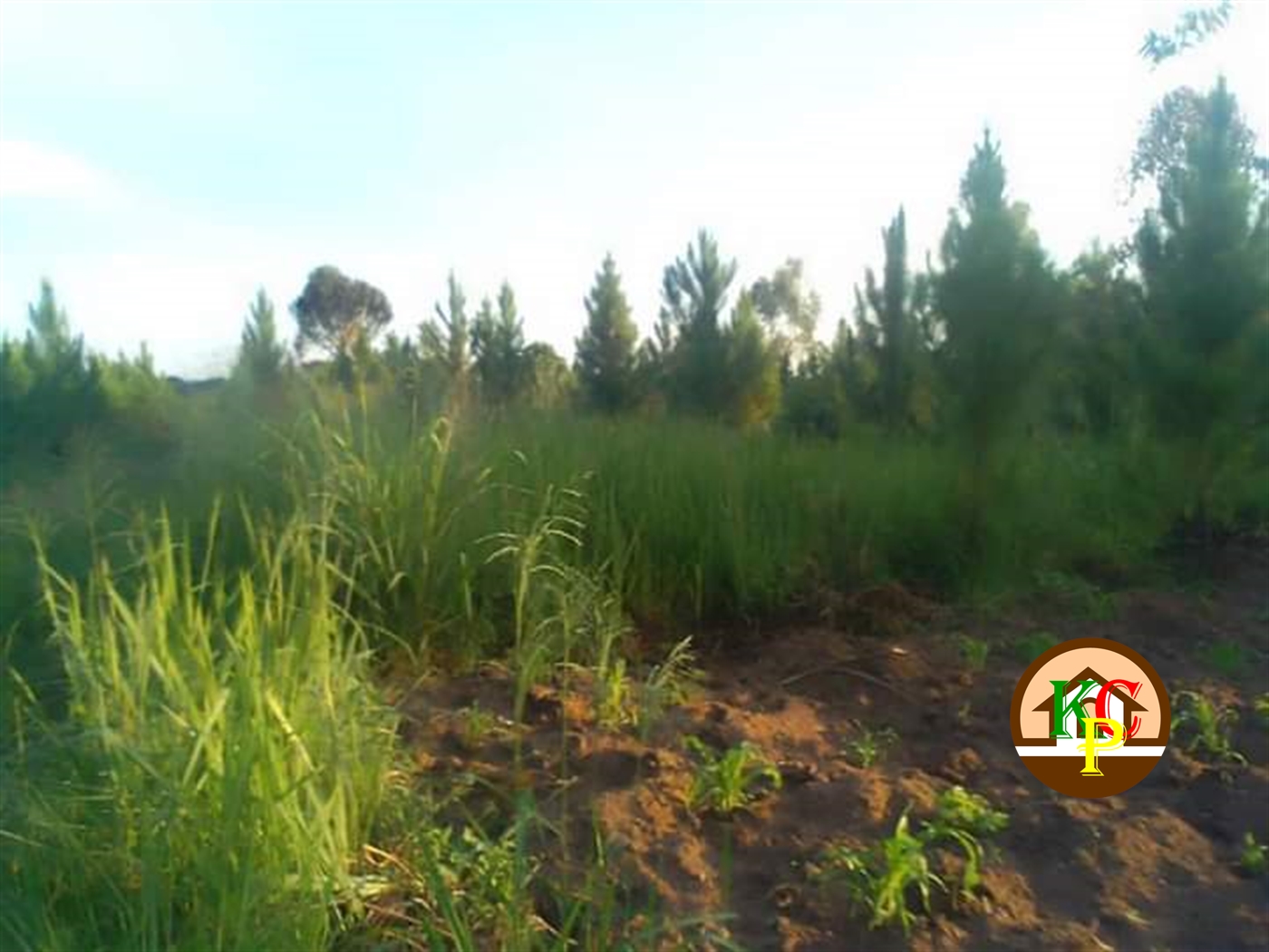 Residential Land for sale in Ndibulungi Luweero