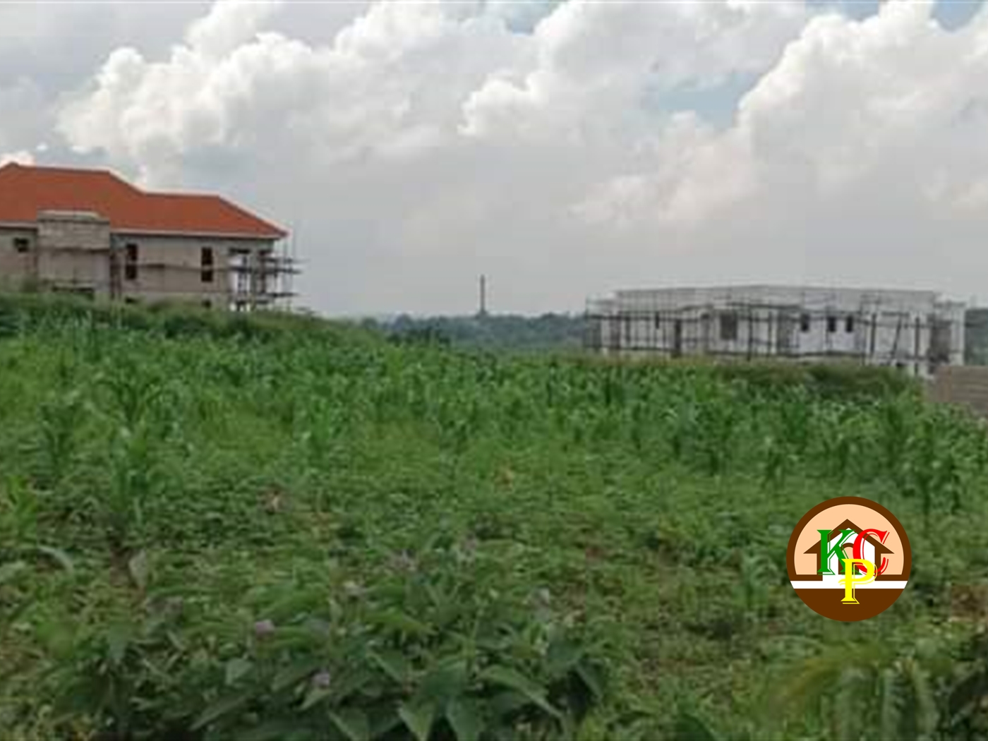 Residential Land for sale in Busukuma Mukono