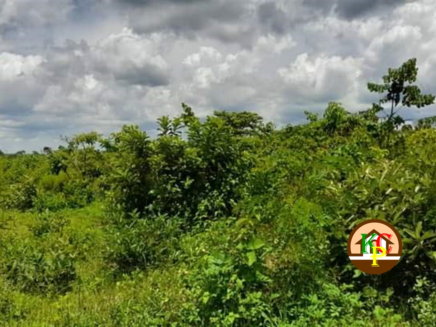 Residential Land for sale in Ngaaju Luweero