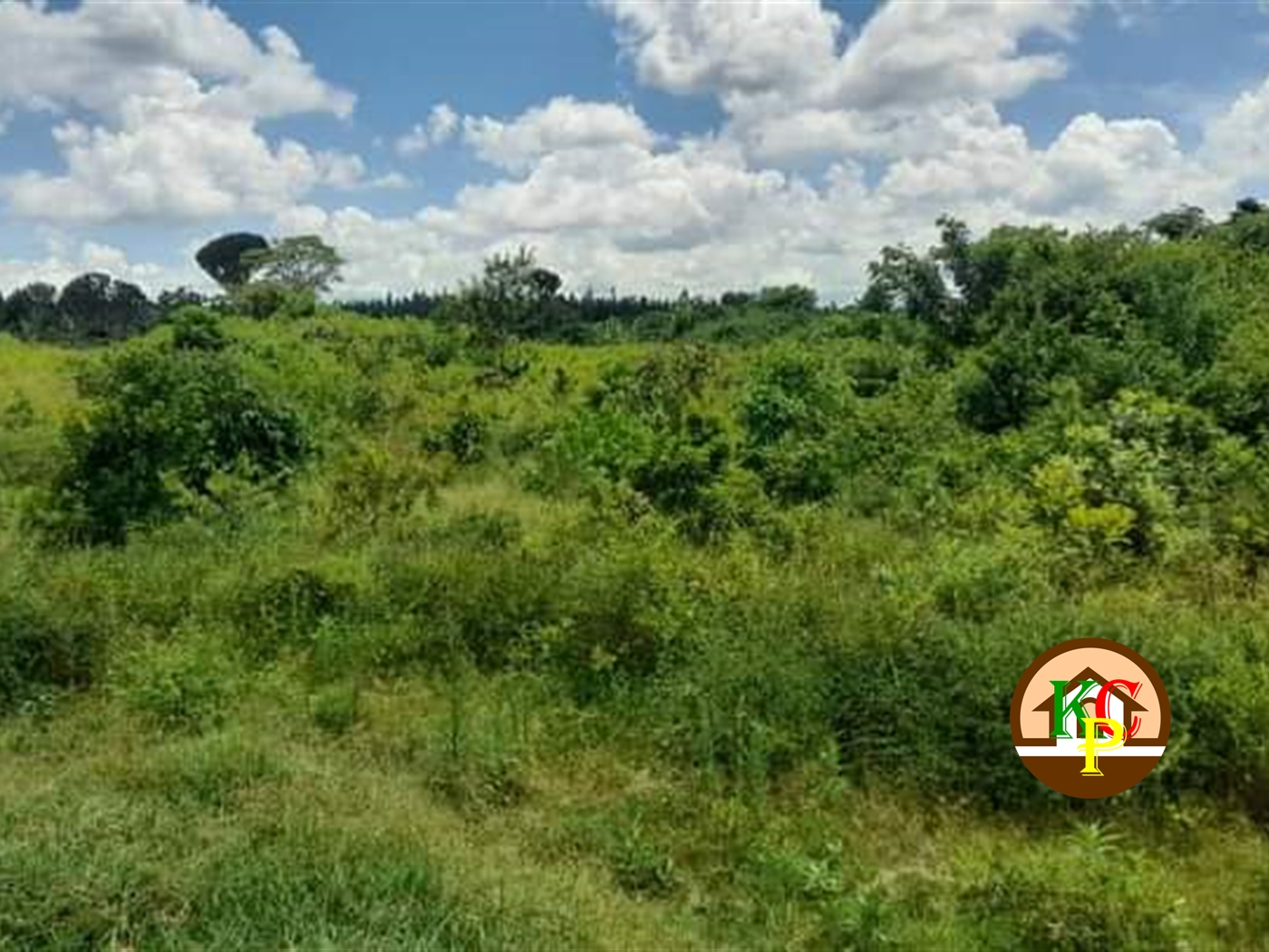 Residential Land for sale in Ngaaju Luweero