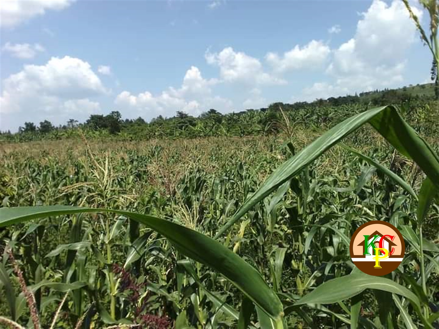 Residential Land for sale in Migera Wakiso