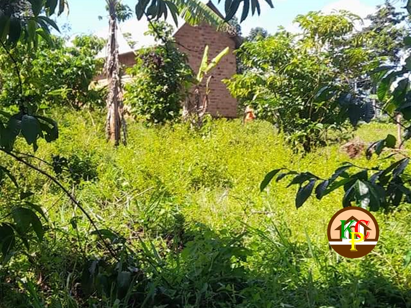 Residential Land for sale in Kiyindi Buyikwe
