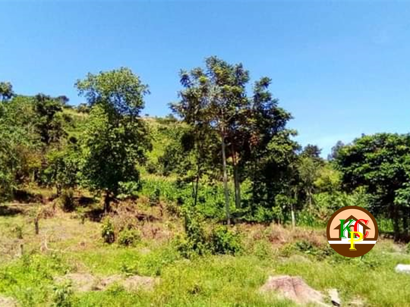 Residential Land for sale in Kyaggwe Buyikwe