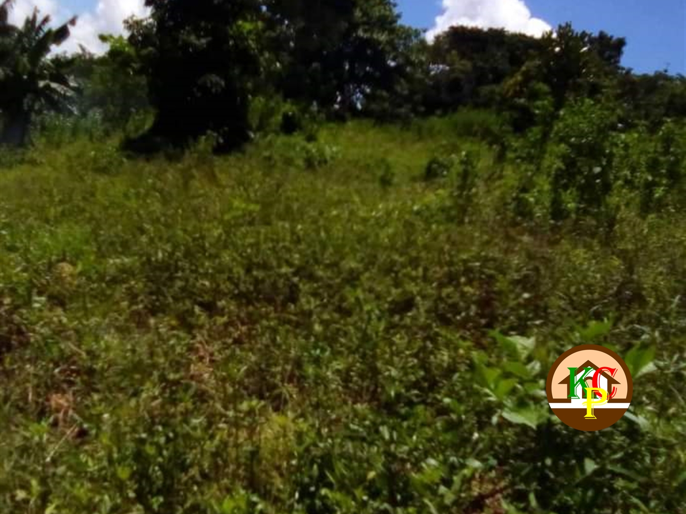 Residential Land for sale in Kyaggwe Buyikwe