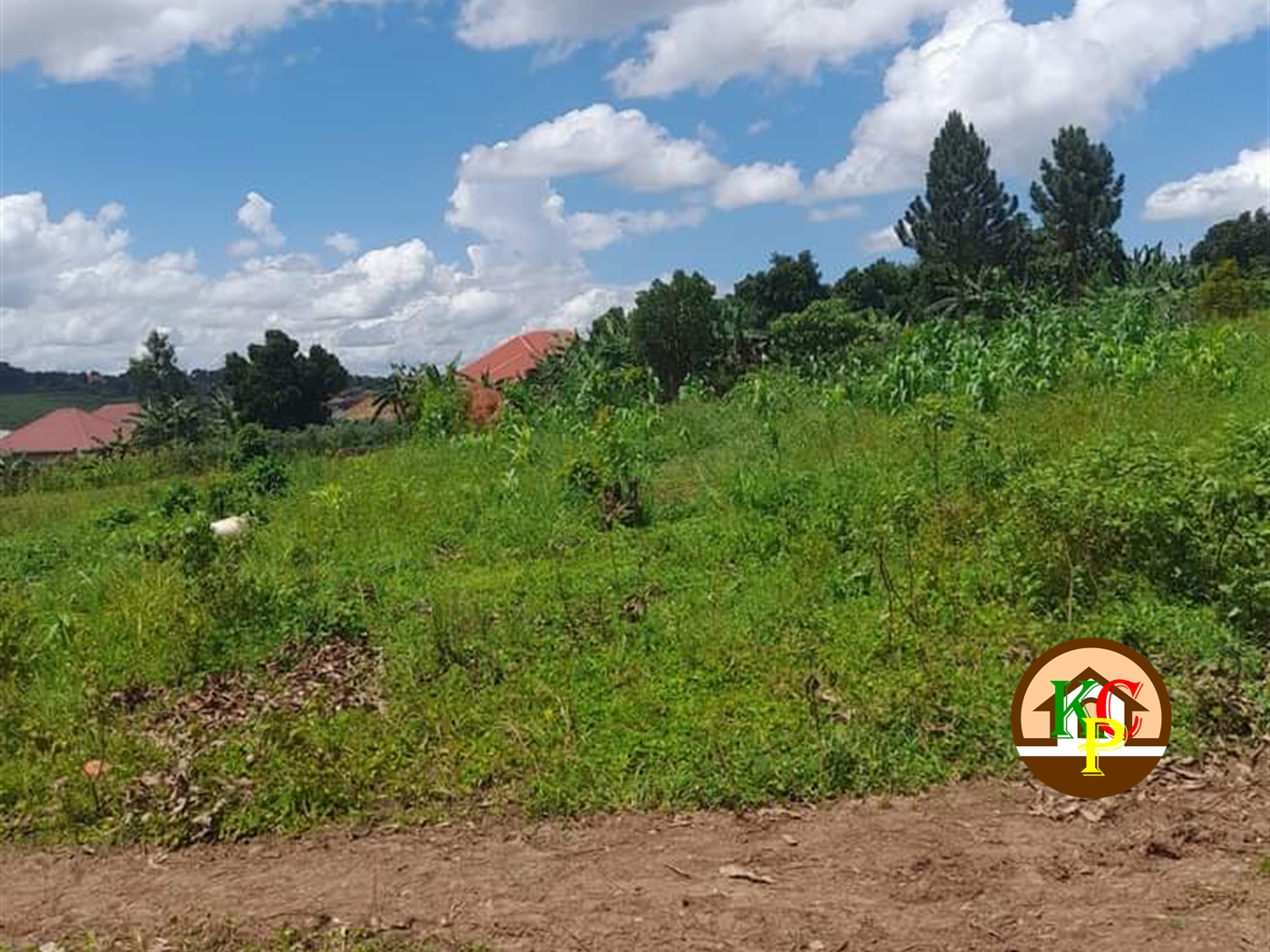 Residential Land for sale in Nyenge Mukono