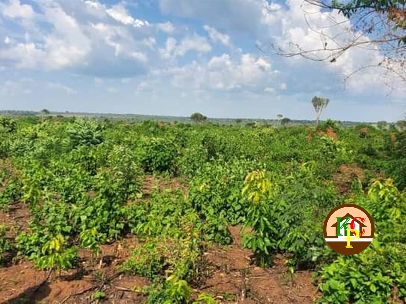 Residential Land for sale in Bbaale Wakiso