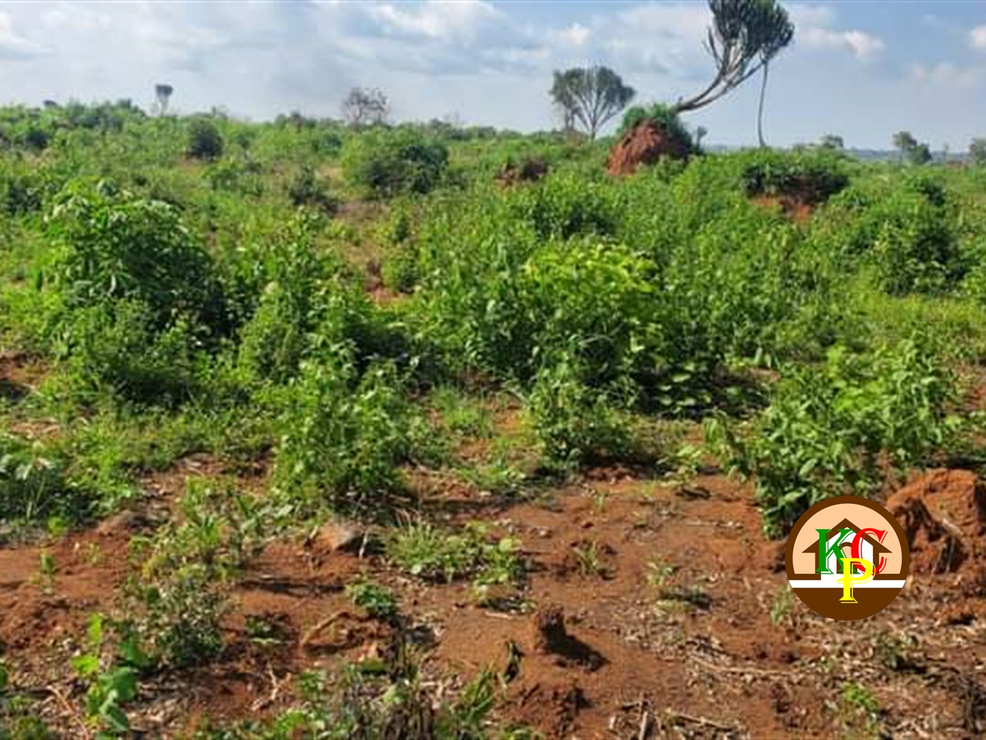 Residential Land for sale in Bbaale Wakiso