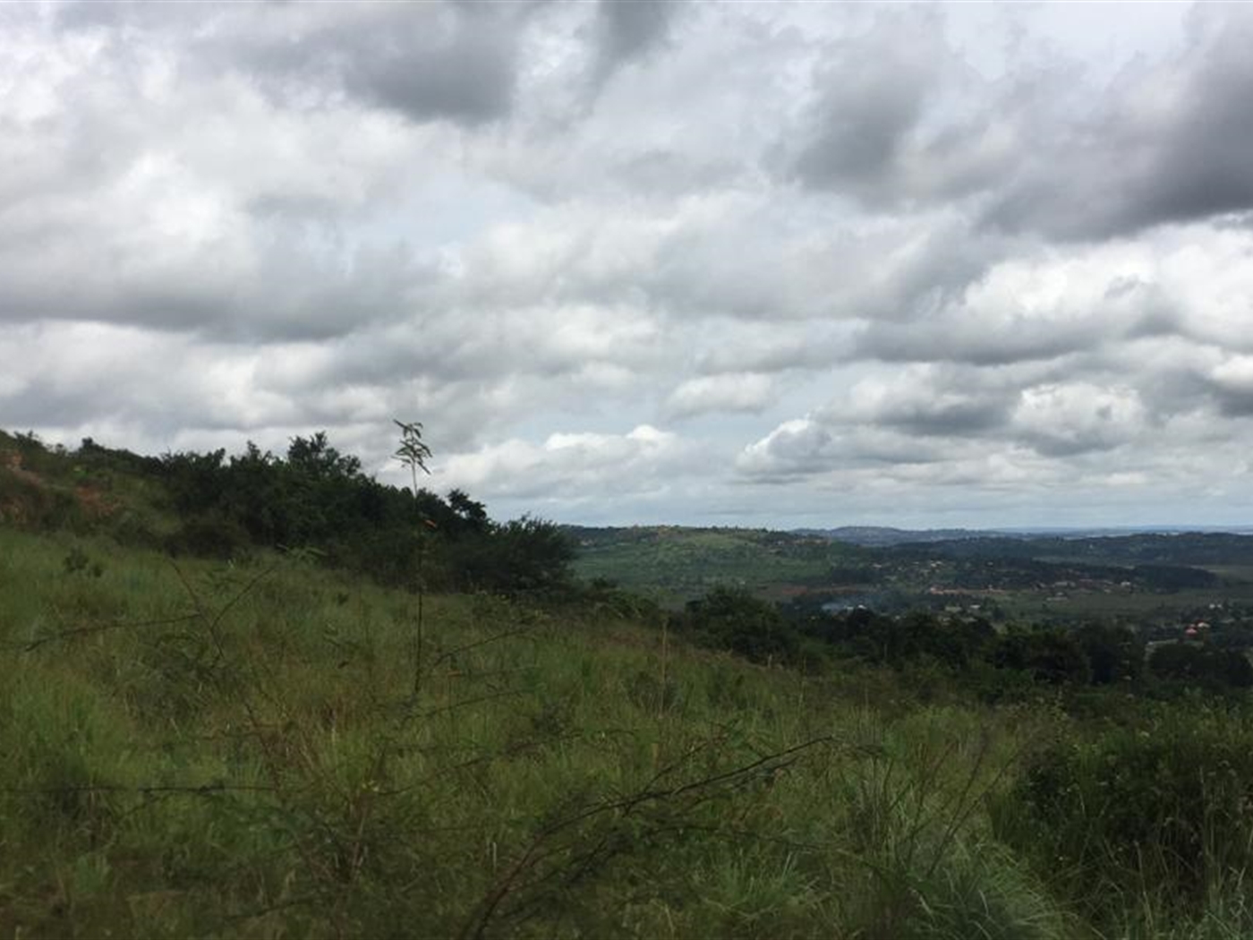 Residential Land for sale in Kitende Wakiso