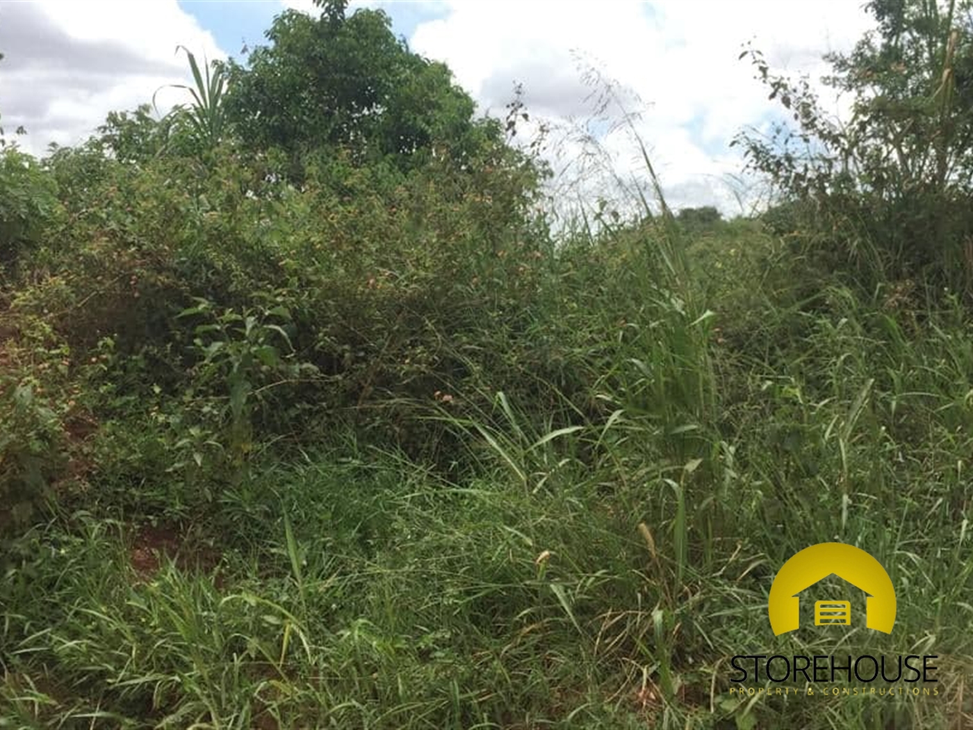 Agricultural Land for sale in Nakaseke Kabaale