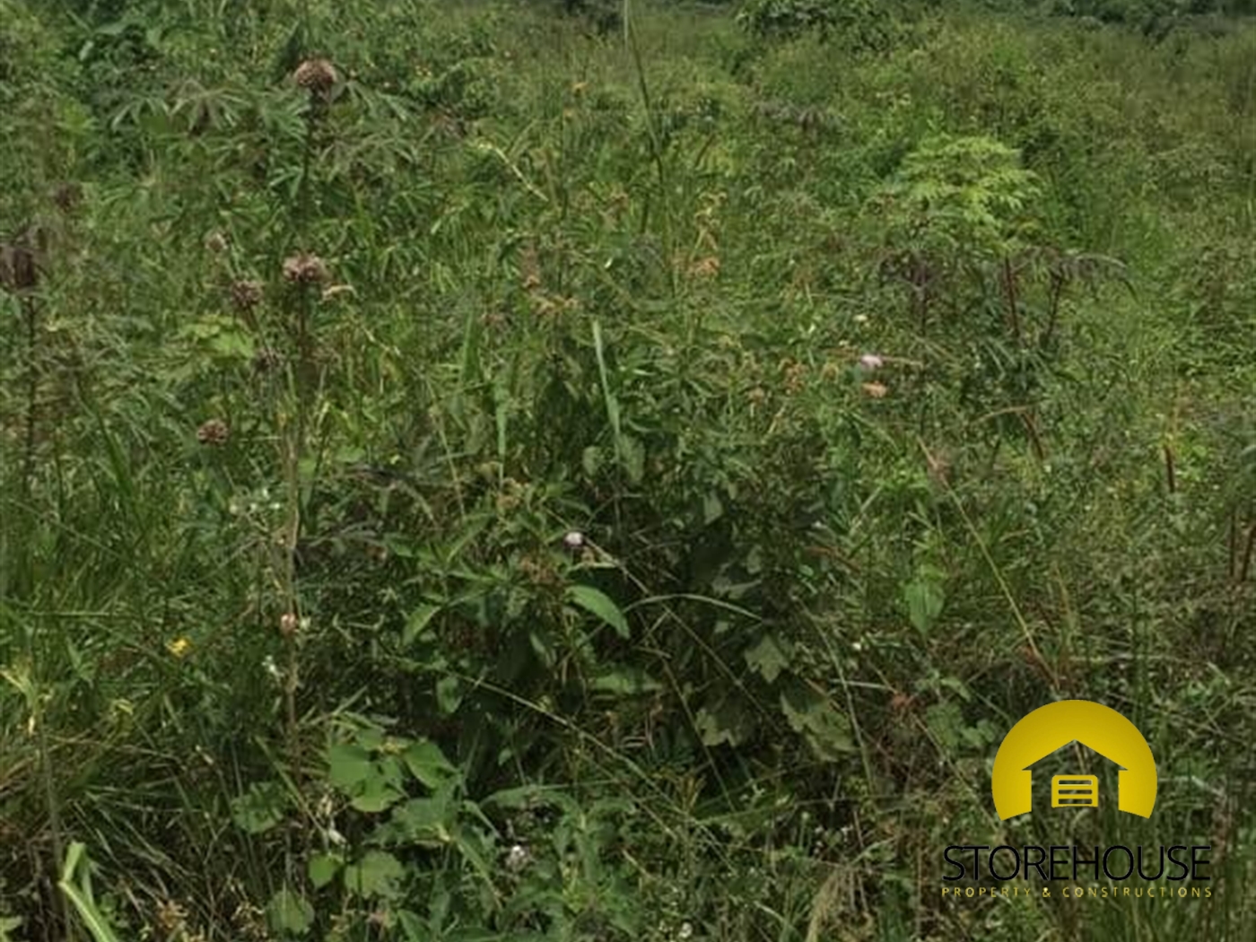 Residential Land for sale in Mutundwe Kampala