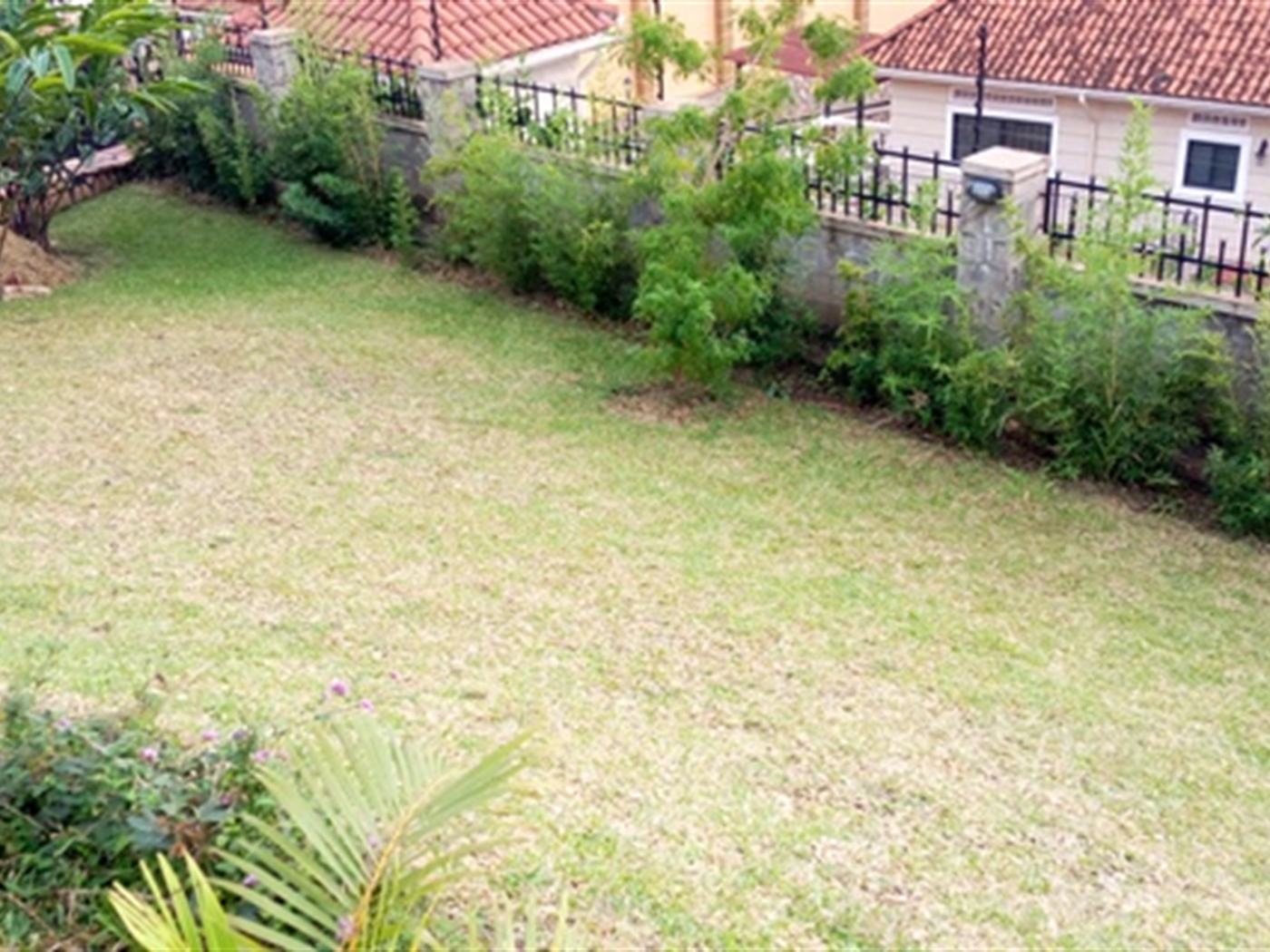 Villa for rent in Naguru Kampala