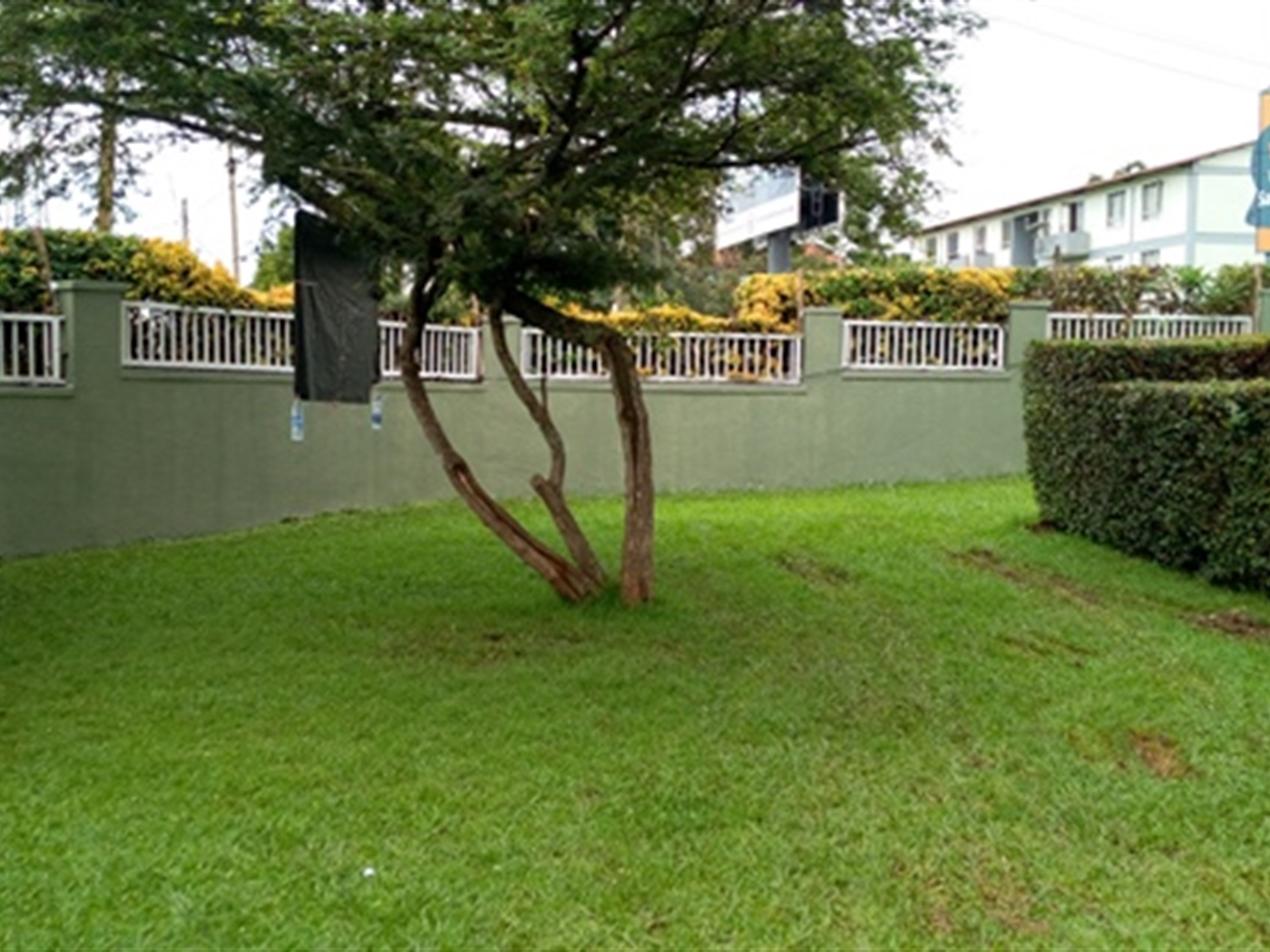 Bungalow for rent in Bukoto Kampala